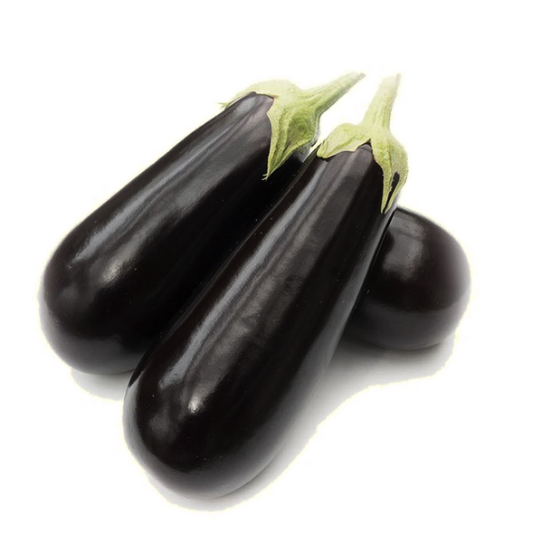 Fresh Eggplant from Belgium supplied by DE PLECKER-LAUWERS - Whole Eggplant