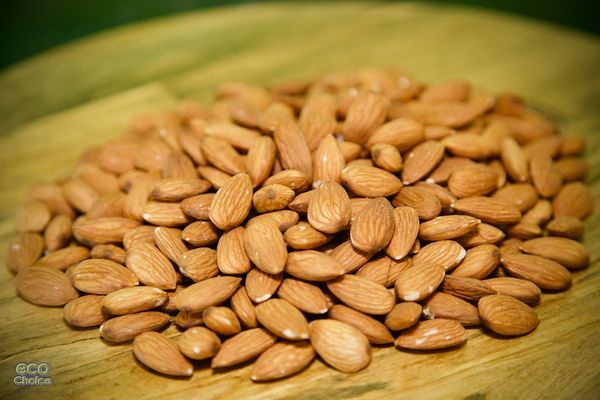Almonds from 남아프리카공화국 supplied by Eco Choice Delicacies - 갈색 아몬드 알맹이