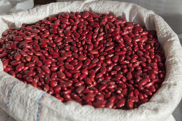 Red Kidney Beans from Ethiopia supplied by Bemen Global Trading - Excellent Quality Dried Kidney Bean