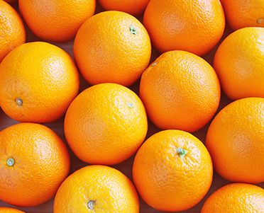 Fresh Orange from 남아프리카공화국 supplied by FRUIT SERVICE Fruchthandels- und Transport GmbH - 주황색 신선 오렌지