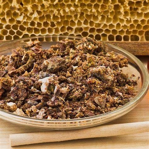 Propolis from 브라질 supplied by Apidouro Comercial Exportadora Importadora Ltda. - Organic 프로폴리스