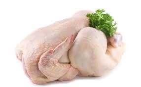 Fresh Organic Chicken Meat from Germany supplied by Gut Schmerwitz GmbH & Co. KG - Organic Frozen Whole Chicken