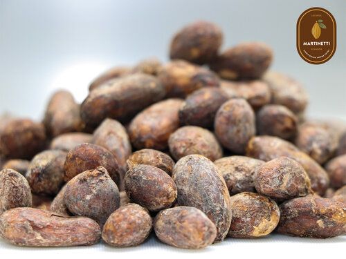 Aribba Cocoa Beans from Ecuador supplied by Martinetti Cocoa - Patrimonio Cacao - Whole Cocoa Bean