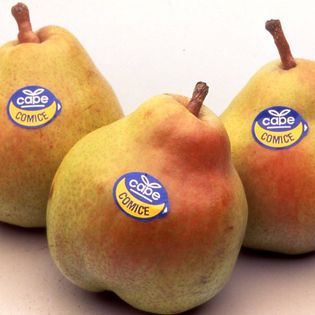Pears from 남아프리카공화국 supplied by Capespan North America Llc - Red Blush 신선 배