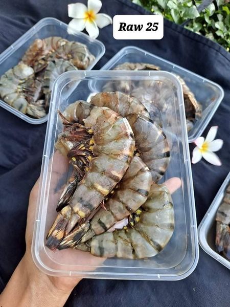 Prawn from Myanmar [Burma] supplied by Raw 25 Seafood Distribution Myanmar - Frozen Frozen Common Shrimp & Prawn