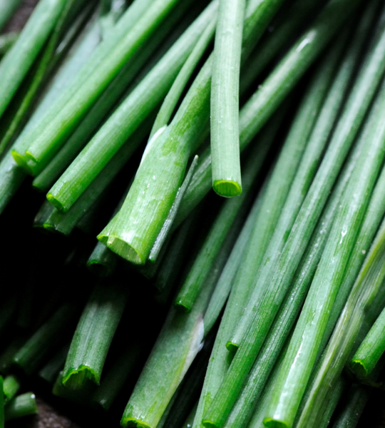 Chives from Kenya supplied by VERT LIMITED - Unspecified Chives
