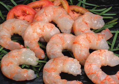 Shrimp from 스페인 supplied by MRT - Marine Resources Trading España S.L. - Peeled - P&D (Peeled and Deveined) (=PND) 냉동 새우