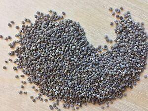 Chia Seed from 케냐 supplied by Afrifarm Agri Commodities - As per customer's request 치아 씨
