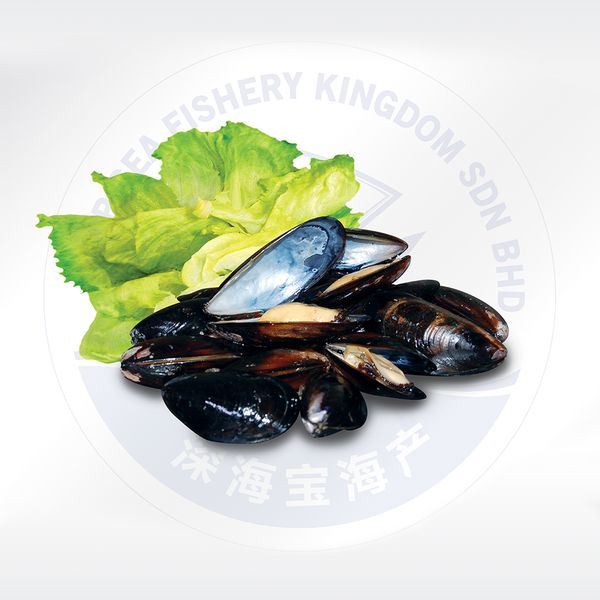 Full-shell Blue Mussels from 말레이시아 supplied by DEEP SEA FISHERY KINGDOM SDN BHD - Common Blue Mussel (=Mytilus edulis=Common Mussel=Edible Blue Mussel) 냉동 홍합