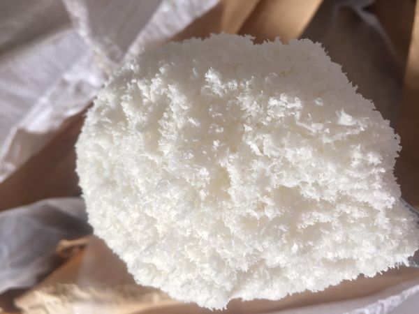 Desiccated coconut low fat from 베트남 supplied by T & T AGRI IMPORT EXPORT CO ., LTD - High Quality 코프라밀(코코넛밀)