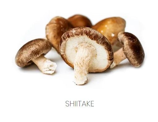 Fresh Shiitake Mushroom from Spain supplied by Mercajara - Whole Shiitake Mushroom
