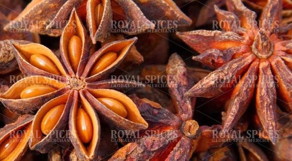 Star Anise from Vietnam supplied by Royal Spices - Natural color Star Anise