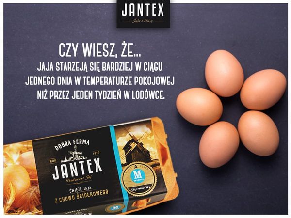 chicken egg from 폴란드 supplied by Jantex Polska Sp. z o.o. - 6 pieces 달걀