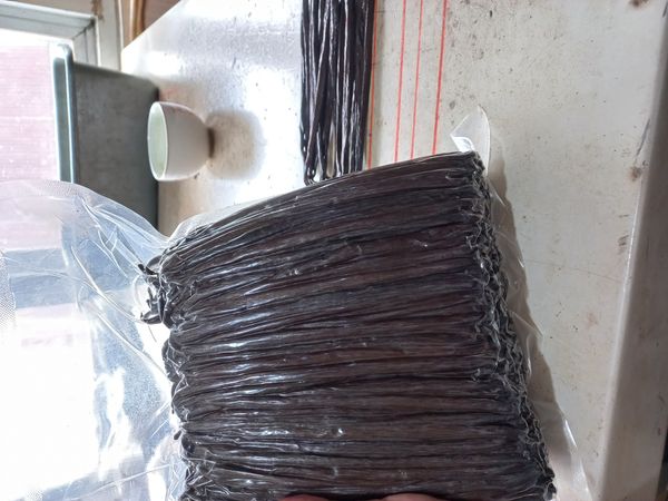 Vanilla Beans Plani from Indonesia supplied by Kembang Vanila Utama - 18-22cm Vanilla