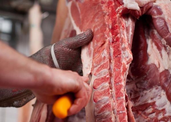 Fresh Lamb from 아일랜드 supplied by Kildare Chilling Co. - Organic 양고기