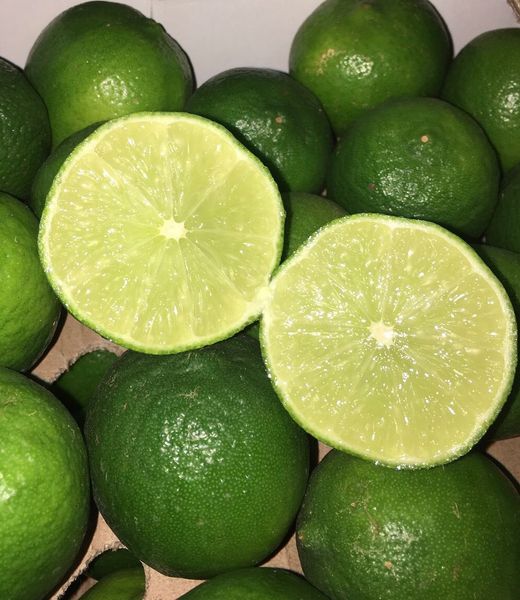 Lime from 멕시코 supplied by Miles import - Green 신선 라임