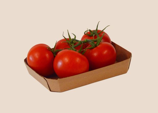 Large Vine Tomato from Italy supplied by Vittoria tomatoes - large vine Fresh Tomato