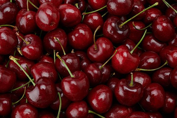 Fresh Sweet Cherry from Chile supplied by Polar Fruit International S.A.C. - Sweet Cherry - Royal Dawn (=C-14) Fresh Sweet Cherry