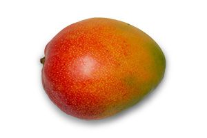 Mango Kent from 미국 supplied by VICTORIA'S CHOICE LLC - Whole 신선 망고