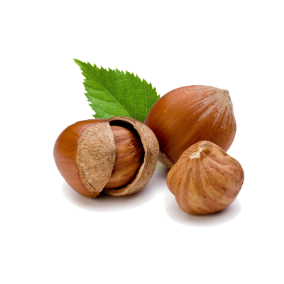 Hazelnut from 루마니아 supplied by SINFRUTTA SRL - Shelled (=Kernel) 헤이즐넛 알맹이
