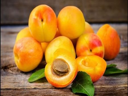 Frozen Apricot from 이집트 supplied by First choice - 신선 살구
