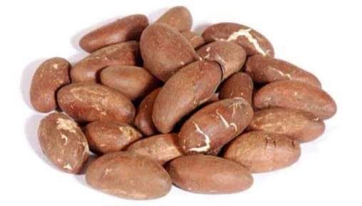 Kola Nut from 나이지리아 supplied by Boom skills and services - Bitter Kola Nut (=Garcinia) 콜라너트