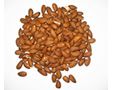Almonds from 포르투갈 supplied by Soutos da Vila - Sociedade Agro-Comercial de Castanha, Lda - 갈색 아몬드 알맹이