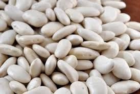 White Kidney Bean from 남아프리카공화국 supplied by Promiseland Import and Export Group - Mesh Bags (50kg) (=Net) 말린 일반 콩