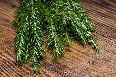 Rosemary from 미국 supplied by W R Hackett Inc - Leaf 로즈마리