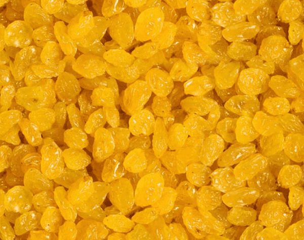 Raisins from India supplied by Agrocrops Exim Limited - Thompson Seedless (=Sultana=Sultanina=Kishmish=Sultaniye) Raisin (Dried Grape)