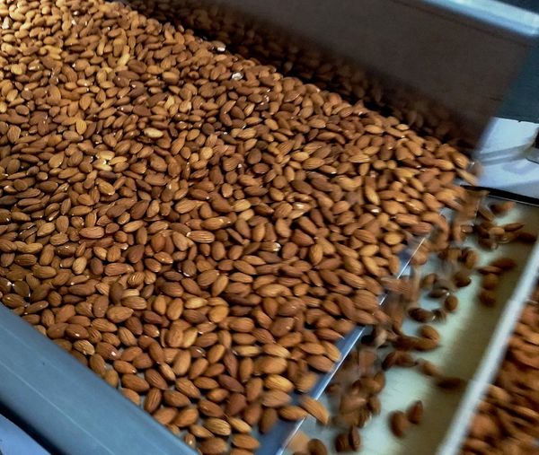 Almond, shelled from United States supplied by Sierra Valley Almonds, LLC - Brown Almond Kernel