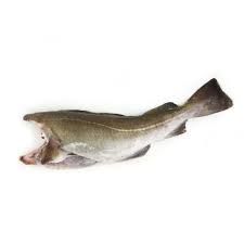 Cod from Iceland supplied by Oddi - Fillet Frozen Cod
