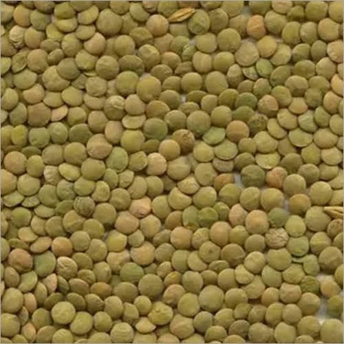 Lentils from 탄자니아 supplied by Jj decor - Mesh Bags (50kg) (=Net) 말린 렌틸
