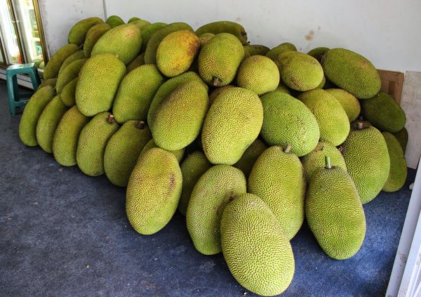 Jackfruit from 말레이시아 supplied by YAN LEE AGRICULTURE TRADING - Meat with Seed 잭프루트