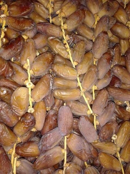 Dates from 알제리 supplied by AMSAMTEX - Yellowish-brown 신선 대추야자
