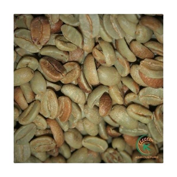Vietnam Arabica Commercial Green Coffee Beans from 베트남 supplied by K Agriculture - S18 (=Screen 18) 생원두