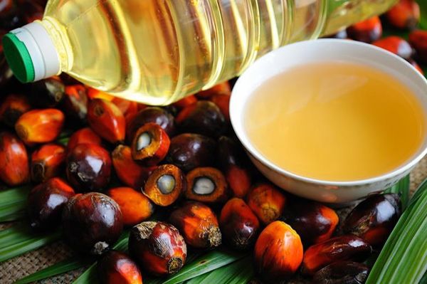 Palm Oil from India supplied by Gautam General Trading - As per customer's request RBD Palm Oil
