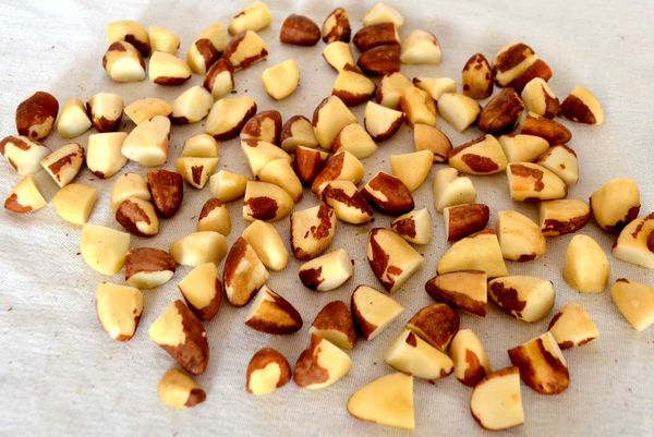 Trimmed Amazonian Chestnuts from Brazil supplied by AGRICOLAS Y FORESTALES S.A.C. - Sliced Raw Chestnut