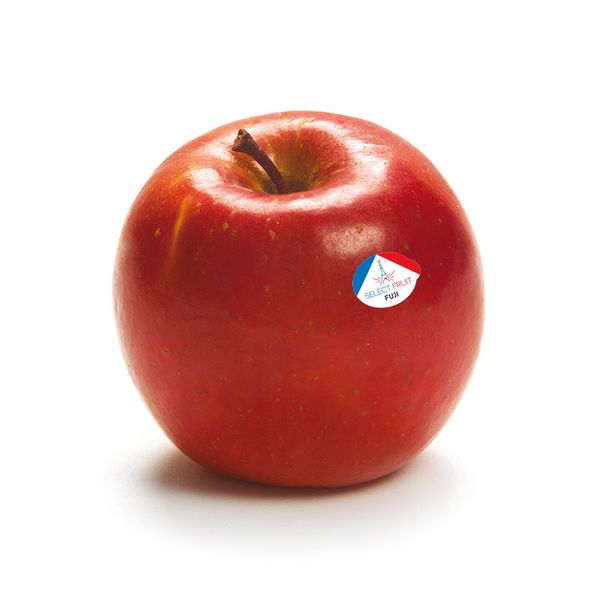Fuji Apple from 프랑스 supplied by Select Fruit - Carton Box (=Cardboard Box) 신선 사과