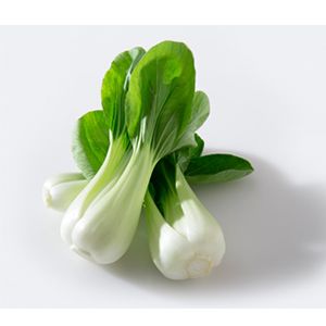 Fresh Wok Choi from 스페인 supplied by BIO BEHR IBERIA SLU - Whole 청경채
