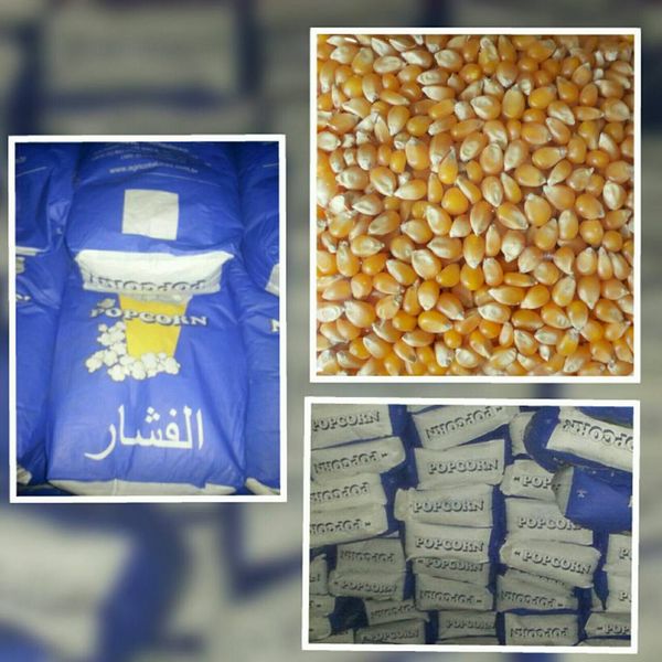 Popcorn from 파키스탄 supplied by Fair Agri Commodities - FAQ (=Fair Average Quality) 팝콘 스낵