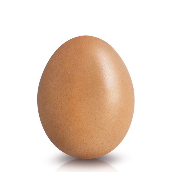 Kadaknath Fresh Organic Egg from India supplied by Unique Agro-vet Inds. - Fresh Chicken Egg
