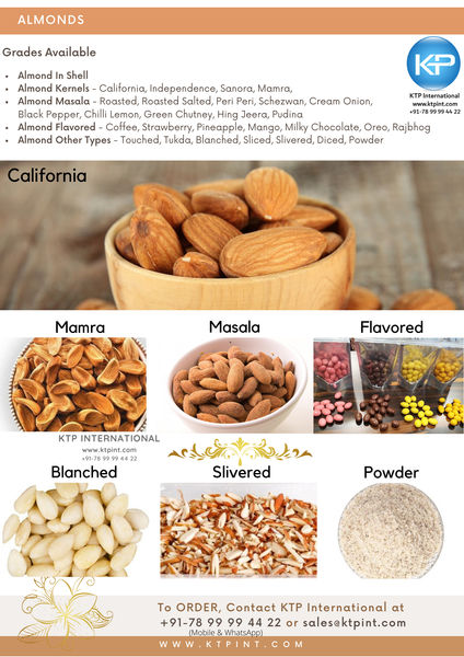 Almond from 인도 supplied by KTP International India - 갈색 아몬드 알맹이