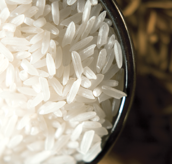 EL PASO RICE from 우루과이 supplied by S.A. Molinos Arroceros Nacionales - El Paso 144 쌀
