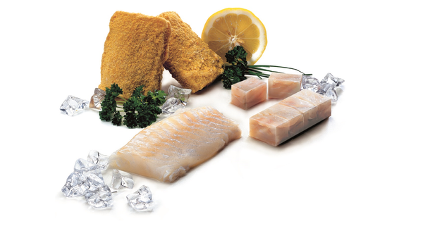 Haddock from 미국 supplied by Faroe Seafood - Blocks 냉동 해덕
