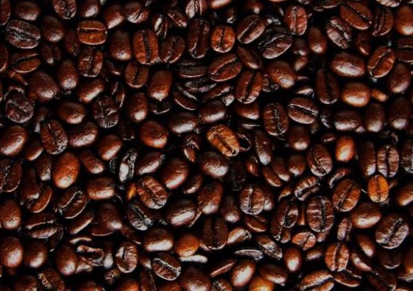 Dark Roasted Coffee Bean from 태국 supplied by Blurite Co., Ltd. - Conventional 생원두