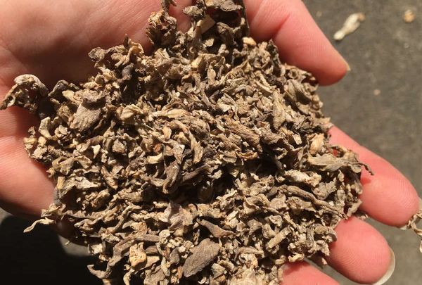 Beet Pulp from 미국 supplied by The Andersons - Granulated 비트펄프