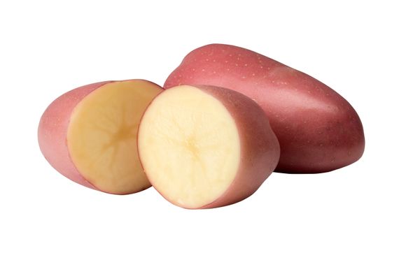 Rodeo Potatoes from Australia supplied by Thomas Foods International Fresh Produce - Rodeo Fresh Common Potato