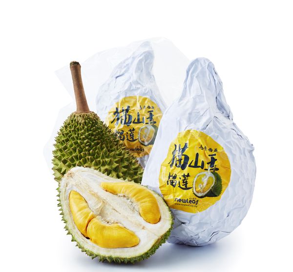 D197 Musang King Durian from Malaysia supplied by Newleaf Plantation Berhad - High Quality Fresh Durian