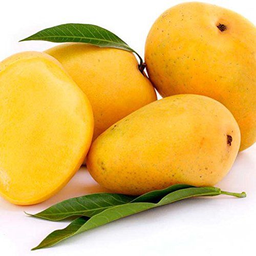 Fresh Mango from India supplied by A-1 Overseas - Raty Wala Fresh Mango